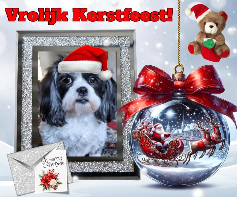 Livia of the Ada family