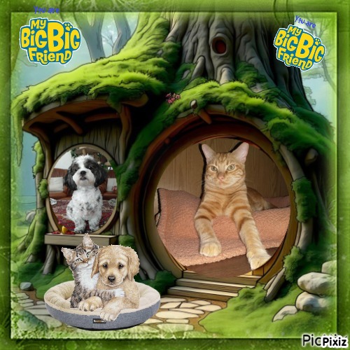 Ada uploaded   79  day/s  ago