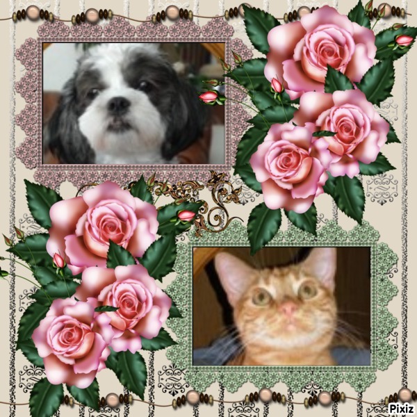 Ada uploaded   78  day/s  ago