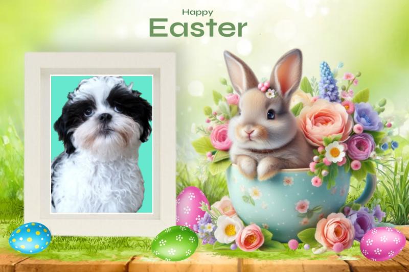 Livia of the Ada family