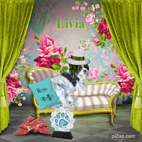 Ada uploaded   97  day/s  ago