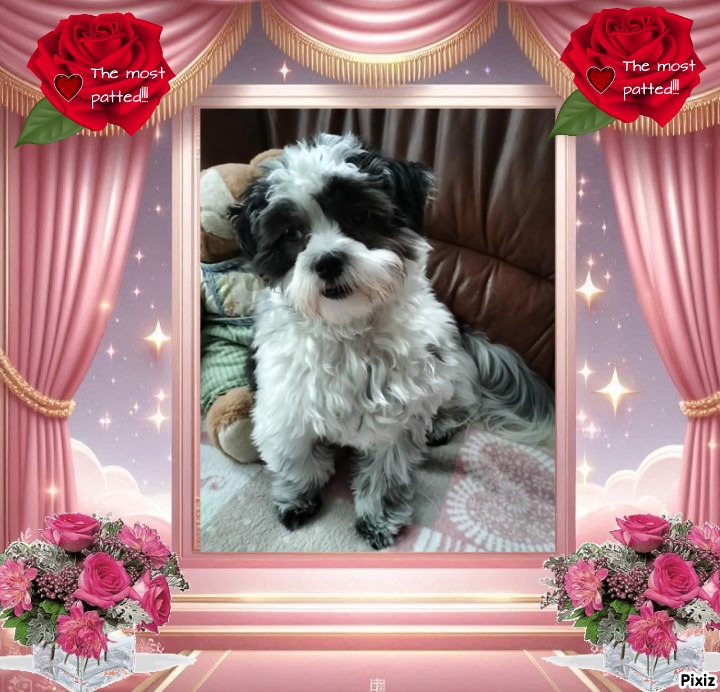 Ada uploaded   102  day/s  ago