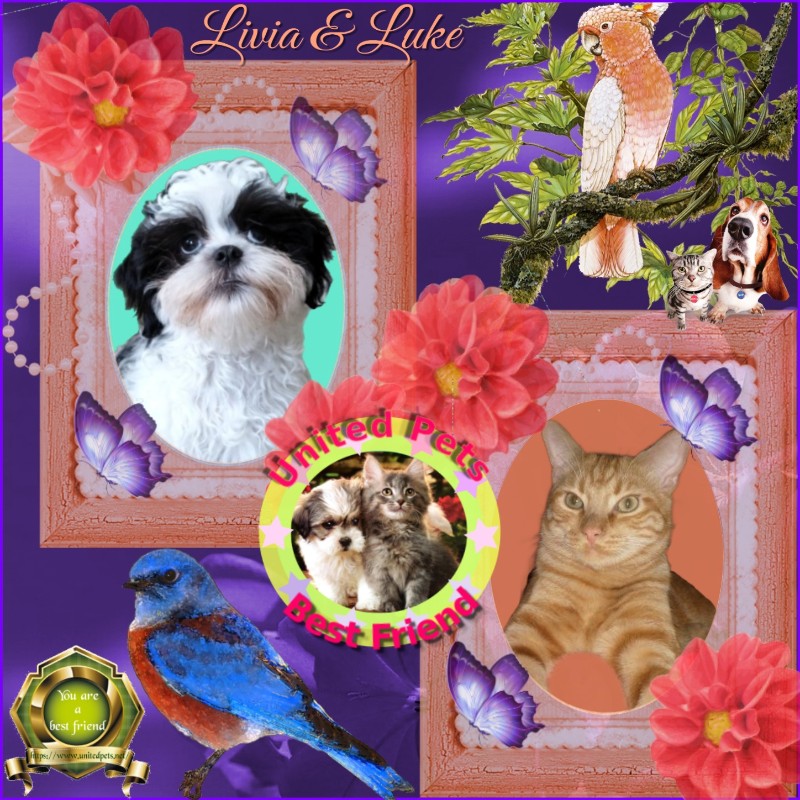 Ada uploaded   69  day/s  ago