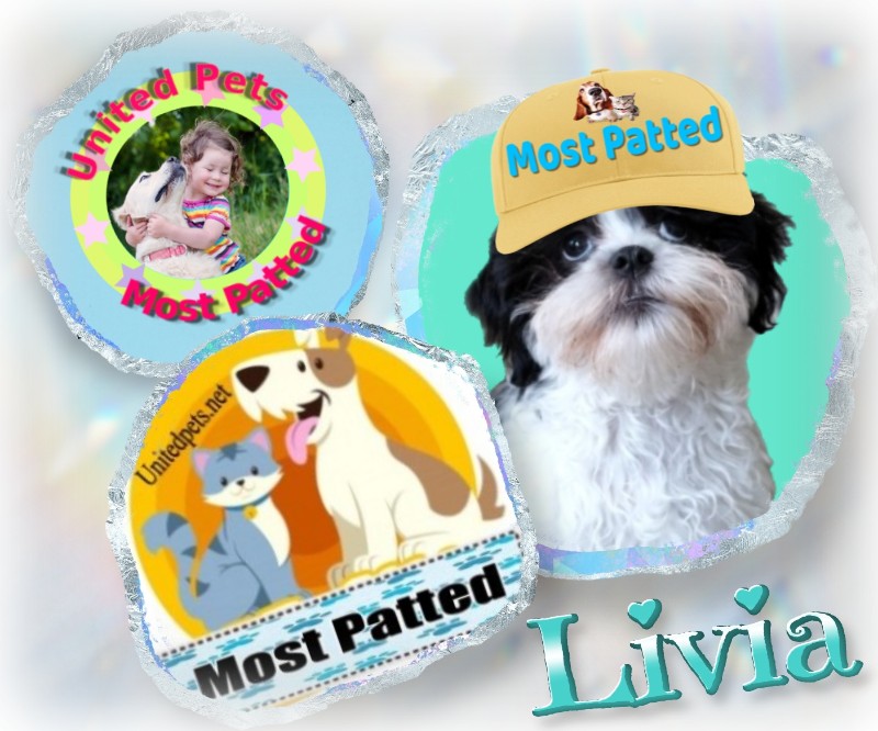 Ada uploaded   93  day/s  ago