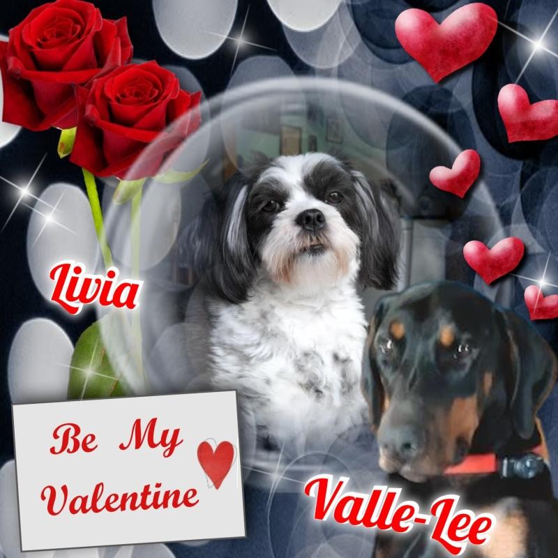 Livia of the Ada family