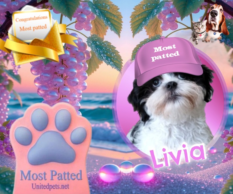 Ada uploaded   93  day/s  ago