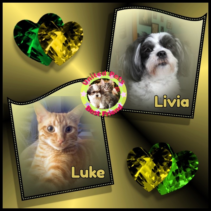 Ada uploaded   69  day/s  ago