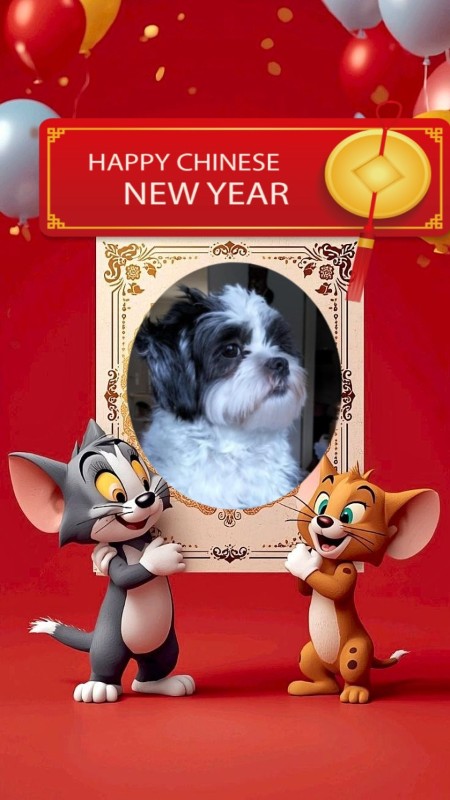 Ada uploaded   93  day/s  ago