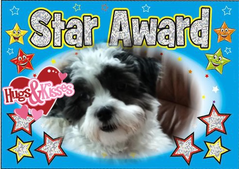 Ada uploaded   98  day/s  ago