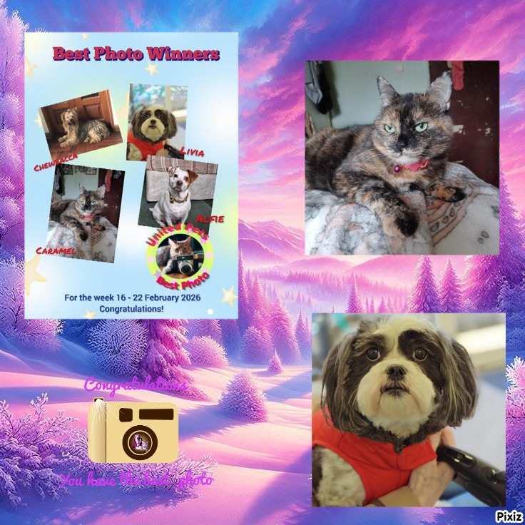 Ada uploaded   3 hour/s ago