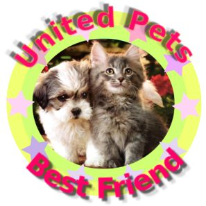 Ada uploaded   79  day/s  ago