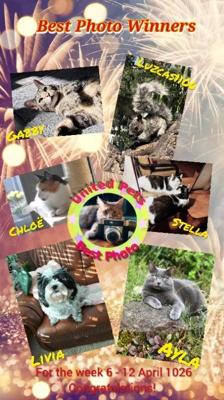 Livia of the Ada family