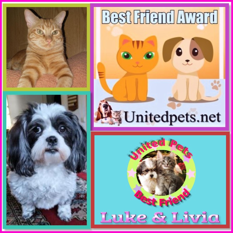 Ada uploaded   69  day/s  ago