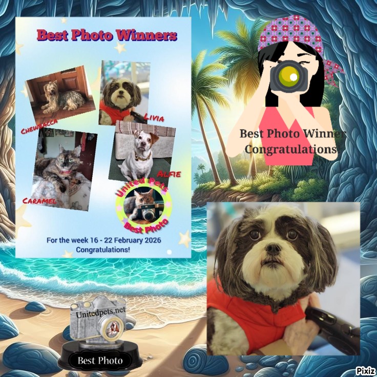 Ada uploaded   3 hour/s ago