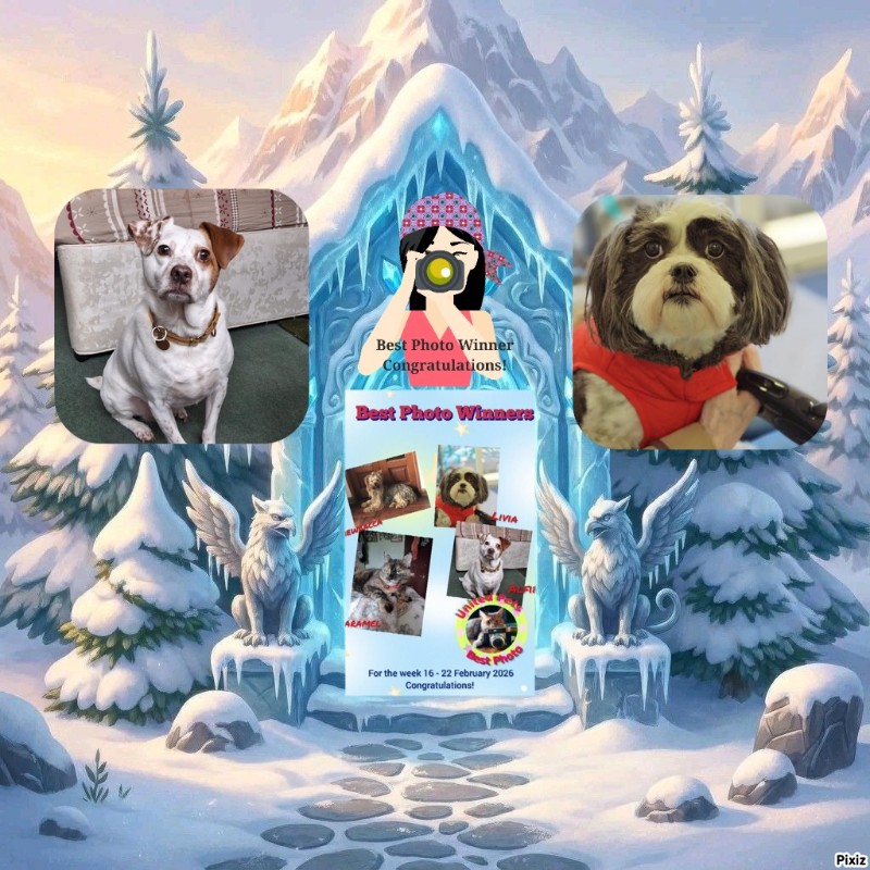 Ada uploaded   3 hour/s ago