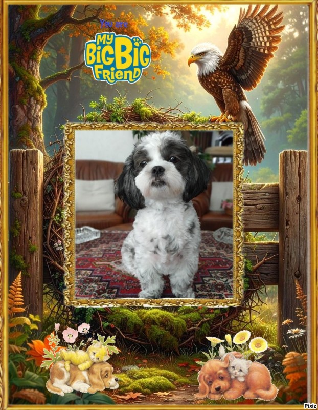 Ada uploaded   79  day/s  ago