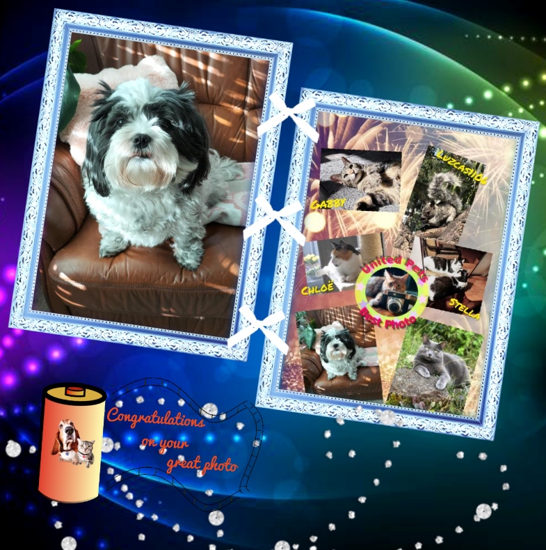 Livia of the Ada family