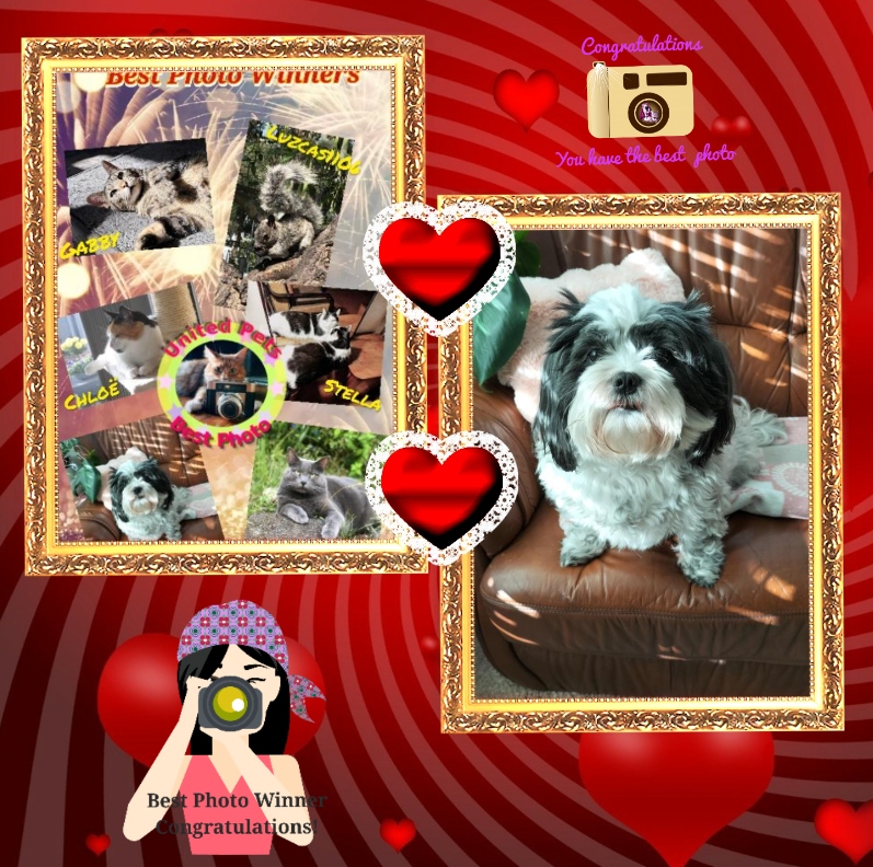 Livia of the Ada family