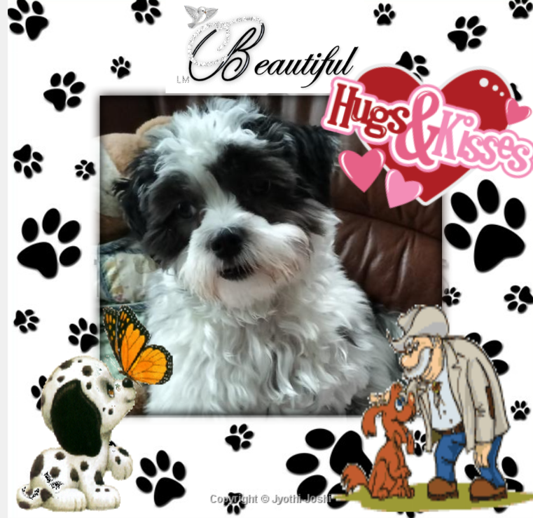 Ada uploaded   98  day/s  ago