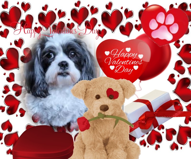 Ada uploaded   69  day/s  ago