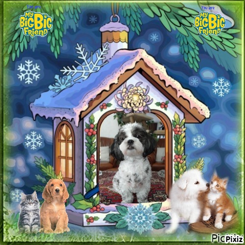 Ada uploaded   79  day/s  ago