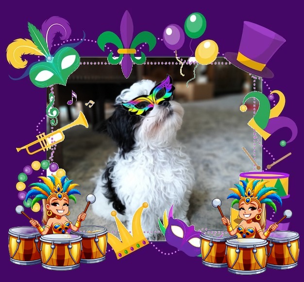 Ada uploaded   93  day/s  ago