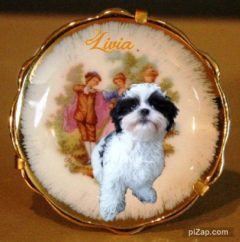 Ada uploaded   97  day/s  ago