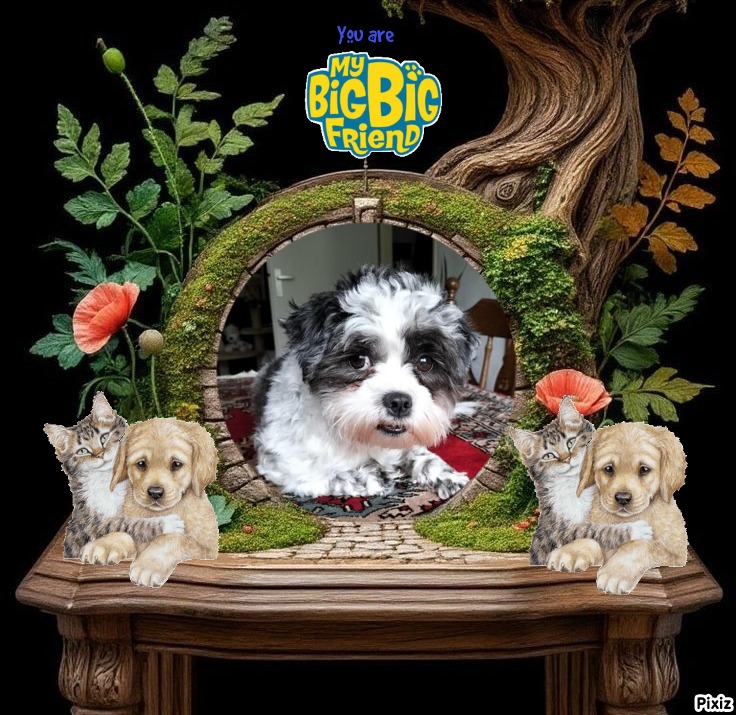 Ada uploaded   79  day/s  ago