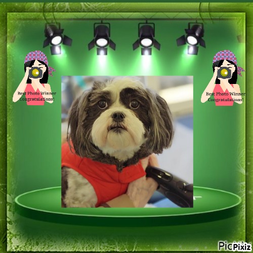 Ada uploaded   3 hour/s ago