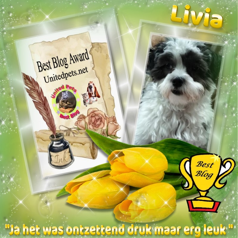 Livia of the Ada family