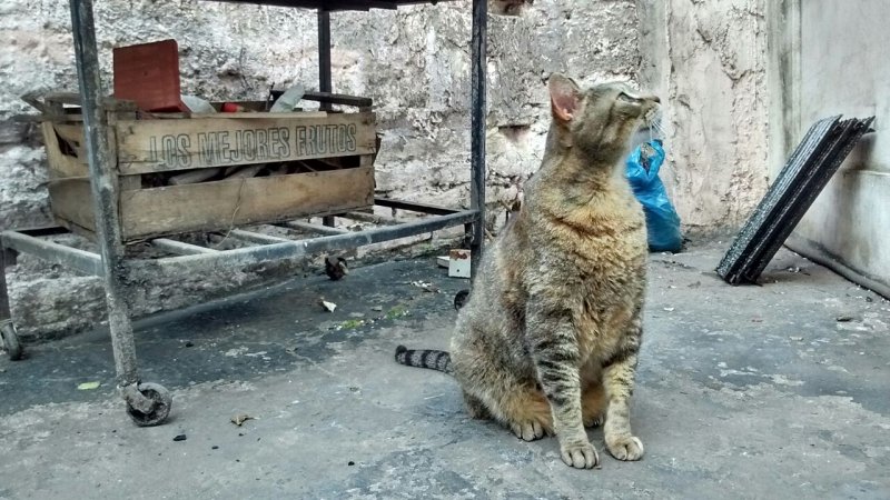 Alejandra uploaded   5 year/s ago