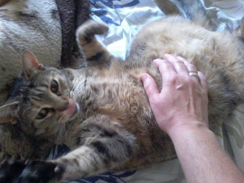 Alejandra uploaded   4 year/s ago