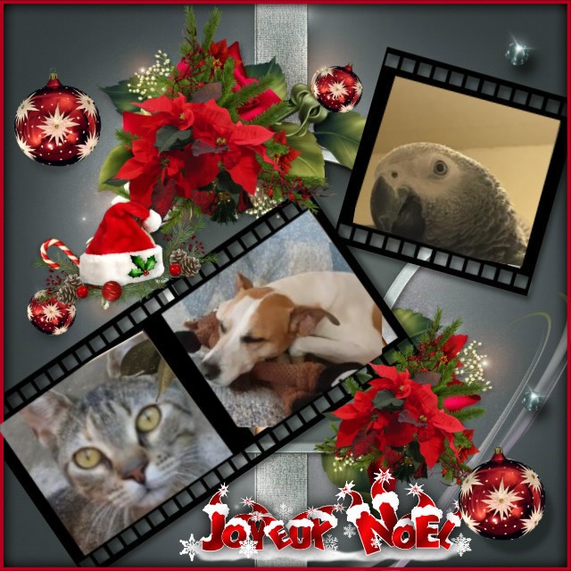 Mishi Estrella of the Alejandra family