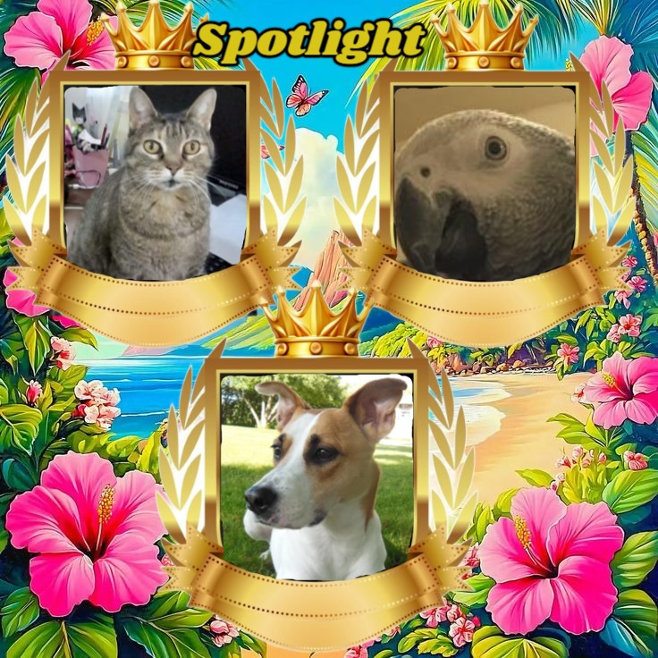 Mishi Estrella of the Alejandra family