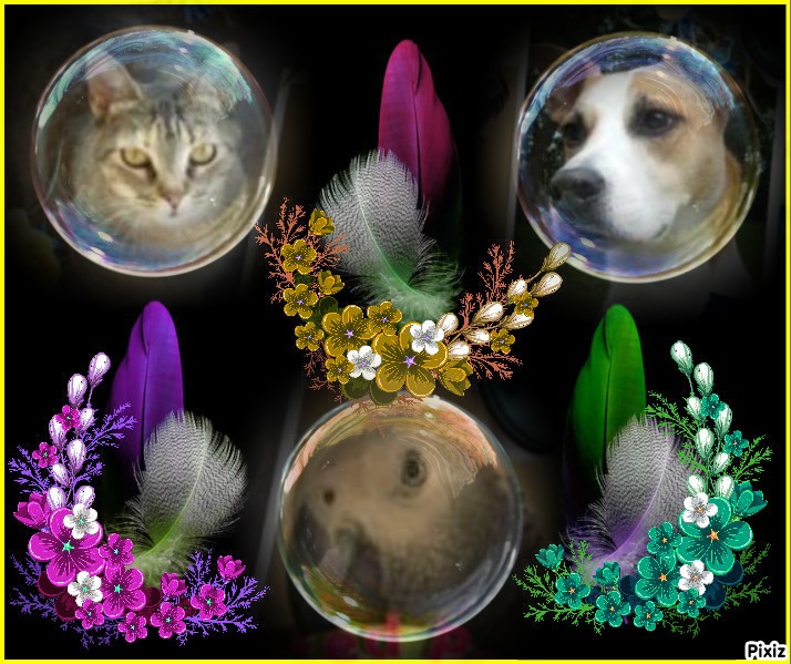 Mishi Estrella of the Alejandra family