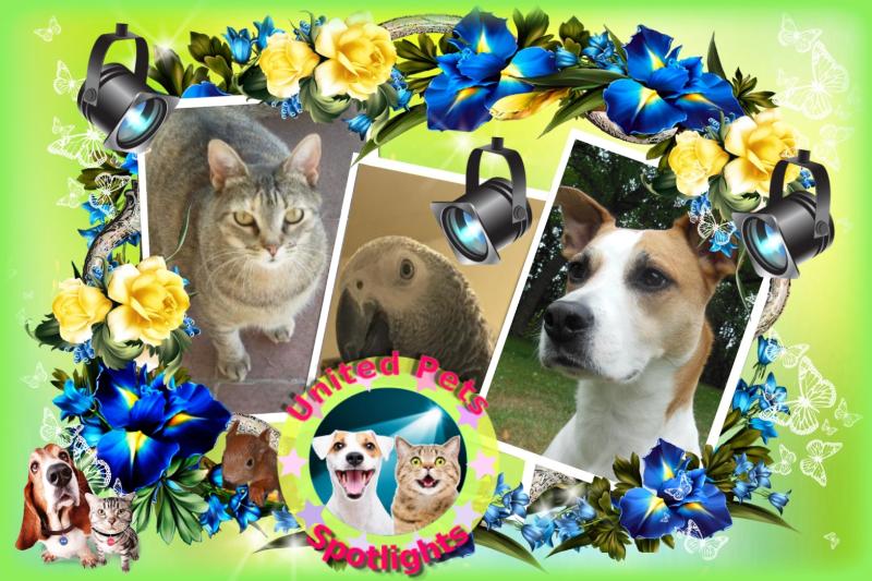 Mishi Estrella of the Alejandra family