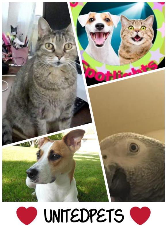 Mishi Estrella of the Alejandra family