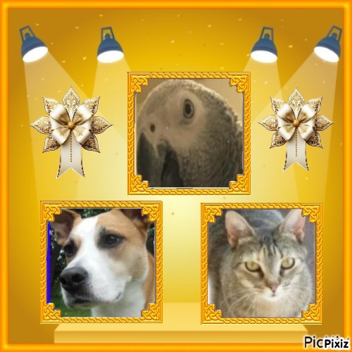 Mishi Estrella of the Alejandra family