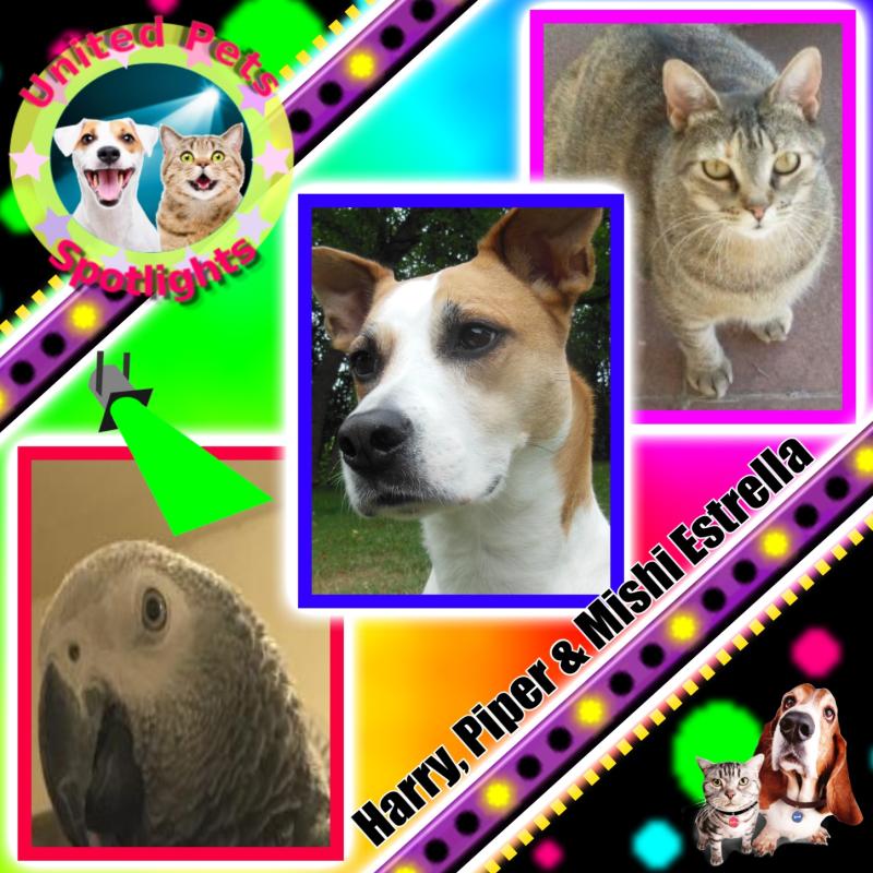 Mishi Estrella of the Alejandra family