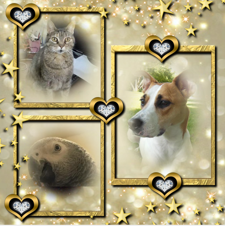 Mishi Estrella of the Alejandra family