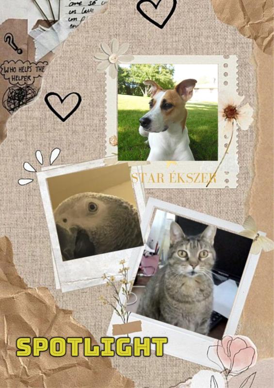 Mishi Estrella of the Alejandra family