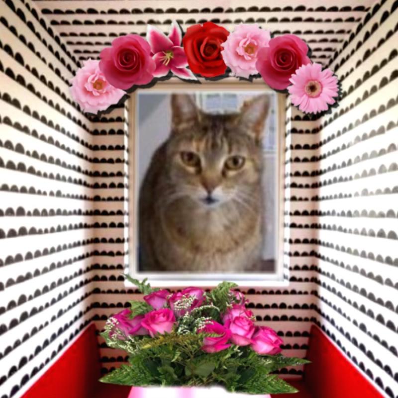 Mishi Estrella of the Alejandra family