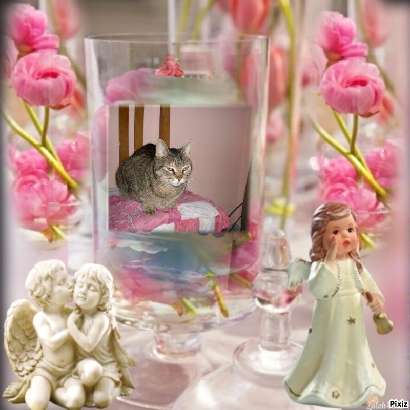 Mishi Estrella of the Alejandra family