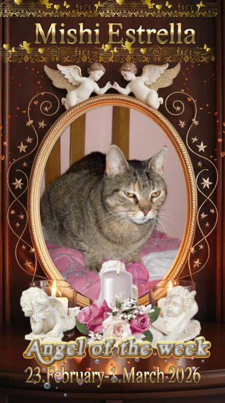 Mishi Estrella of the Alejandra family