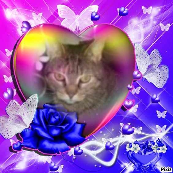 Mishi Estrella of the Alejandra family