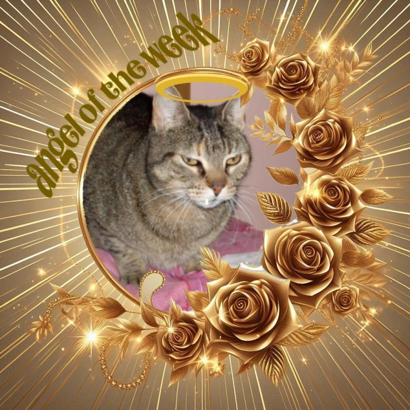 Mishi Estrella of the Alejandra family