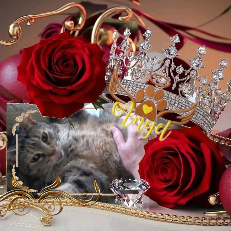 Mishi Estrella of the Alejandra family
