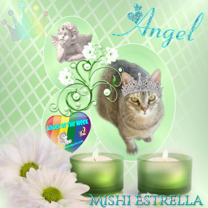 Mishi Estrella of the Alejandra family