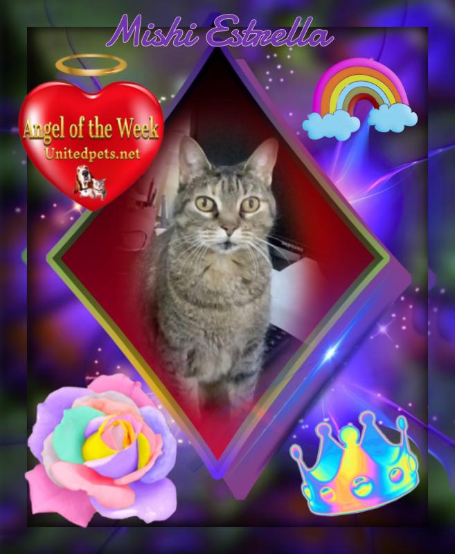 Mishi Estrella of the Alejandra family