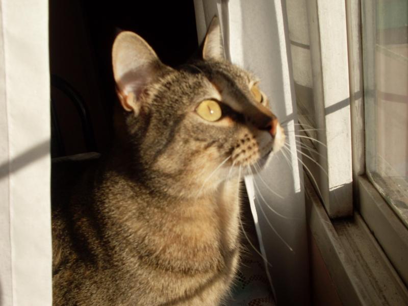 Alejandra uploaded   1  day/s  ago